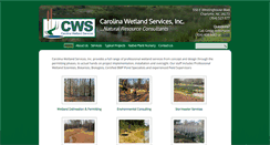 Desktop Screenshot of cws-inc.net